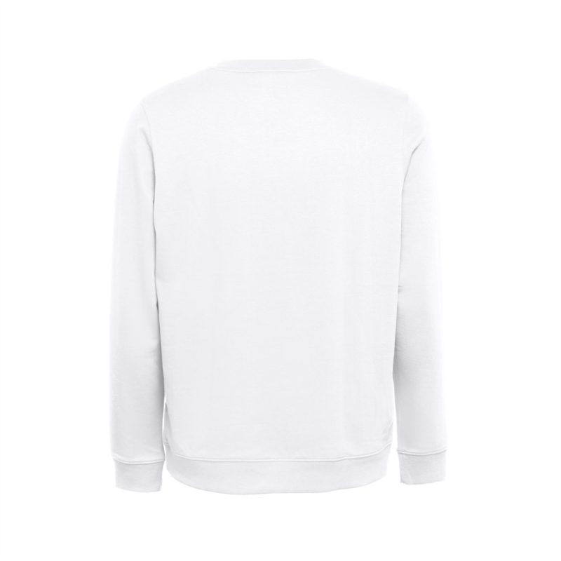 Back view of plain white sweatshirt.