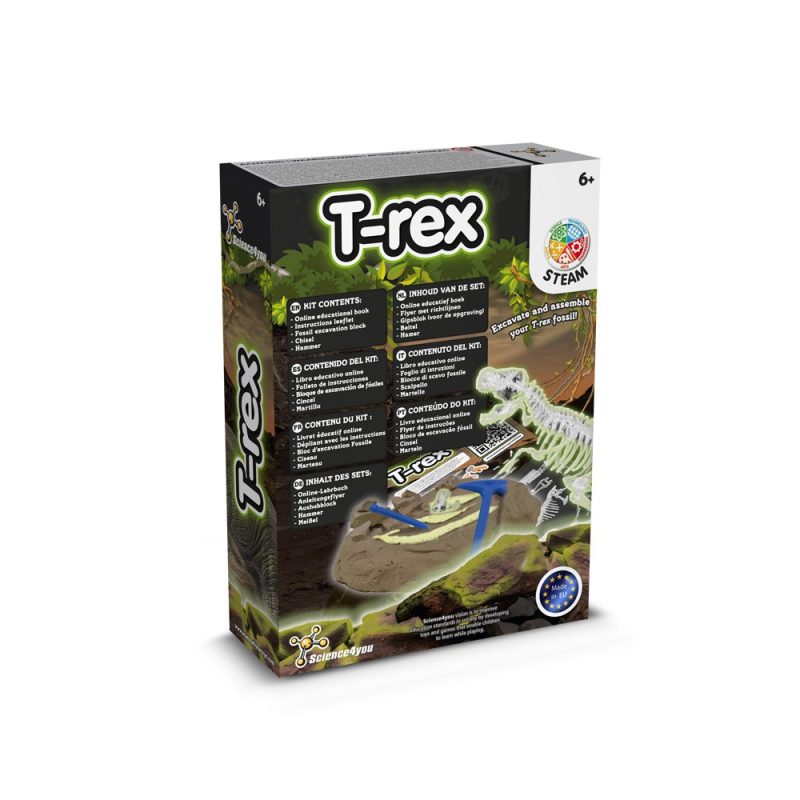 T-rex fossil excavation kit box for kids, 6+ age.