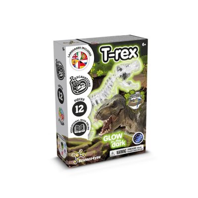 T-rex glow-in-dark excavation kit box.