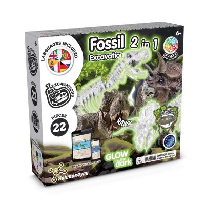Dinosaur fossil excavation kit, glow in the dark.