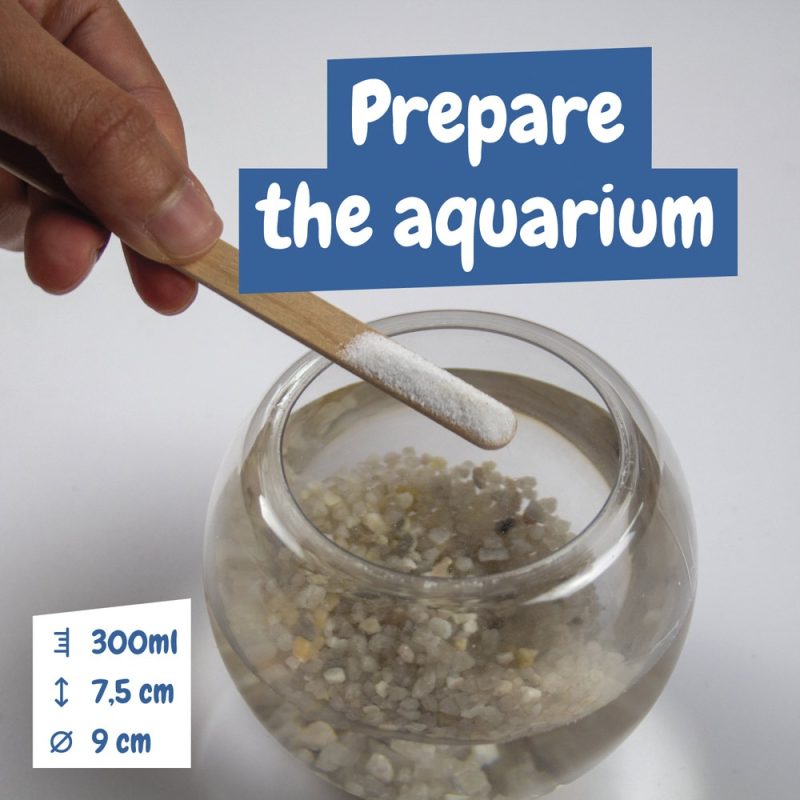 Preparing aquarium with salt and pebbles in bowl.