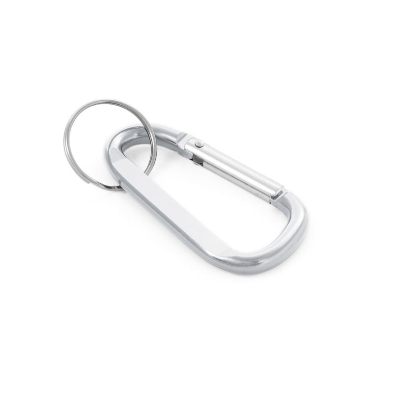 Silver carabiner keyring on white background