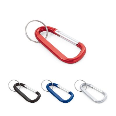 Four colourful carabiner keyrings on white background.