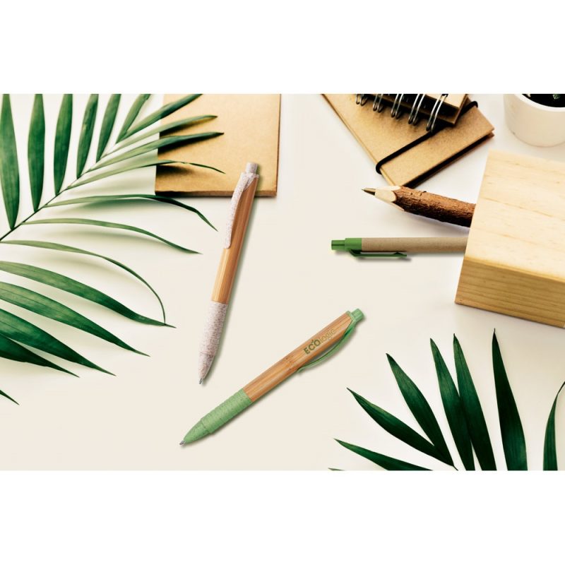 Eco-friendly pens with notebooks and leaves on desk.