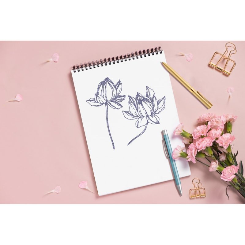Floral sketches with pink paper and flowers