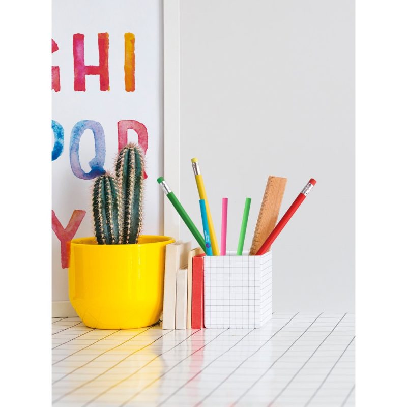 Cactus in yellow pot with stationery on desk.