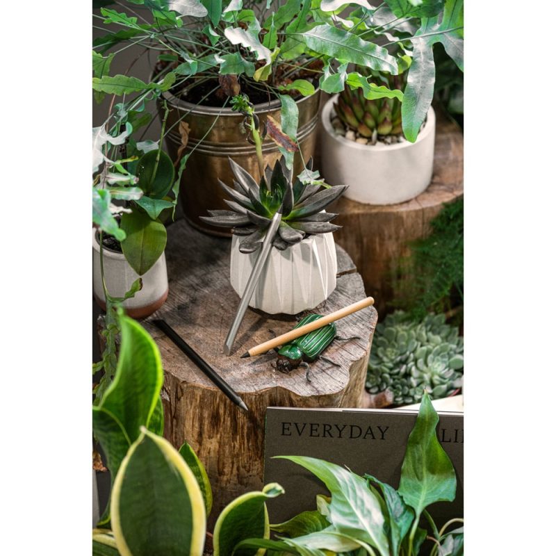 Indoor plants and pencils on wooden stump display.