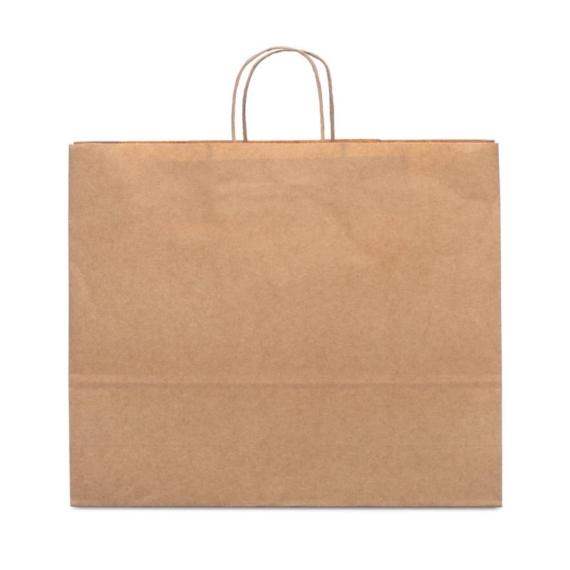 Plain brown paper shopping bag with handles.