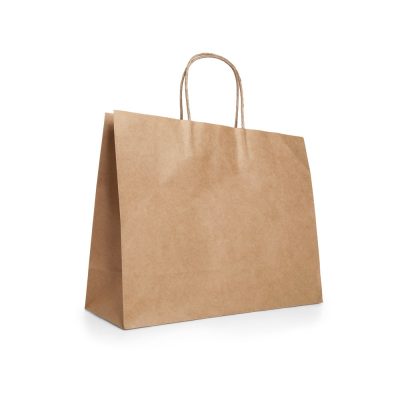 Brown paper shopping bag with handles