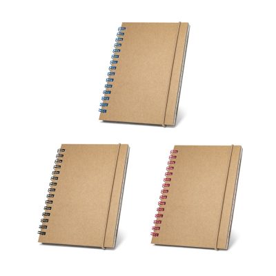 Three spiral notebooks with coloured bindings.