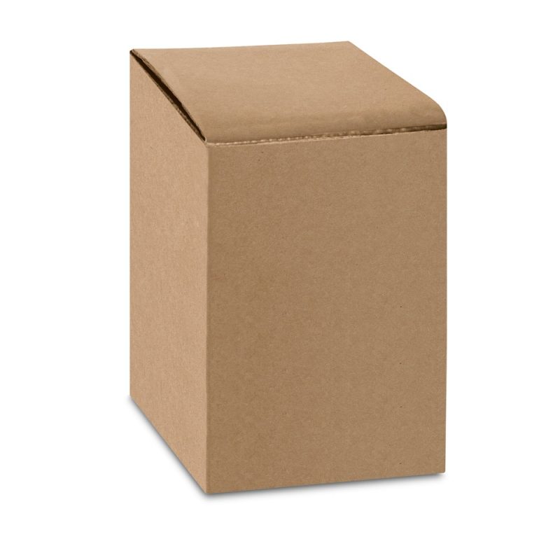 Brown cardboard box, closed, standing upright.