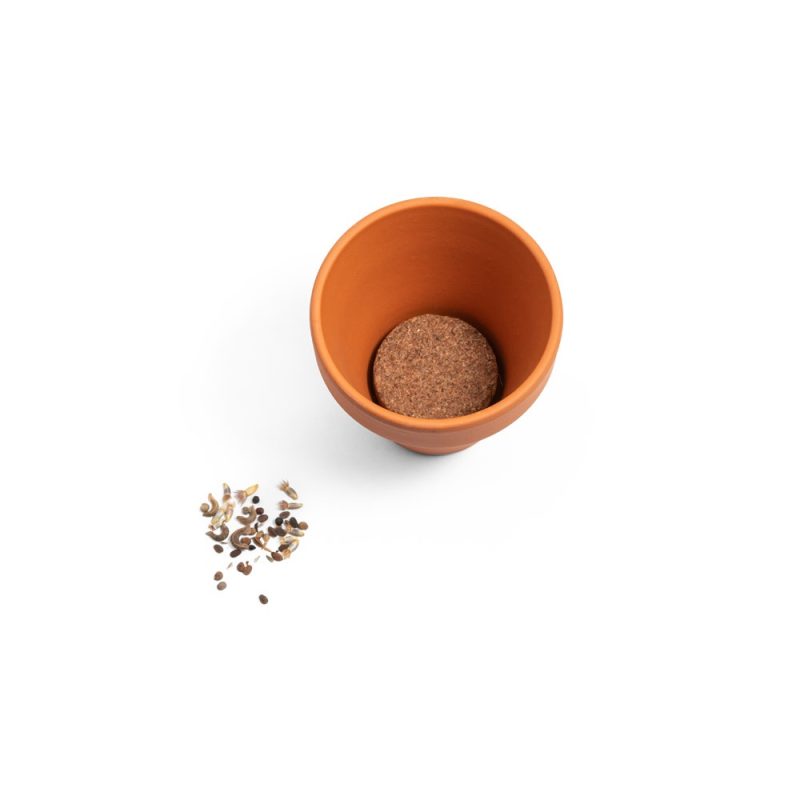 Terracotta pot with soil disc and scattered seeds.