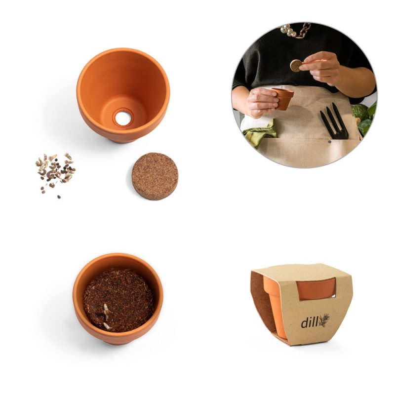 Dill pot set with seeds and soil.
