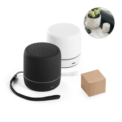Black and white portable speakers with a box