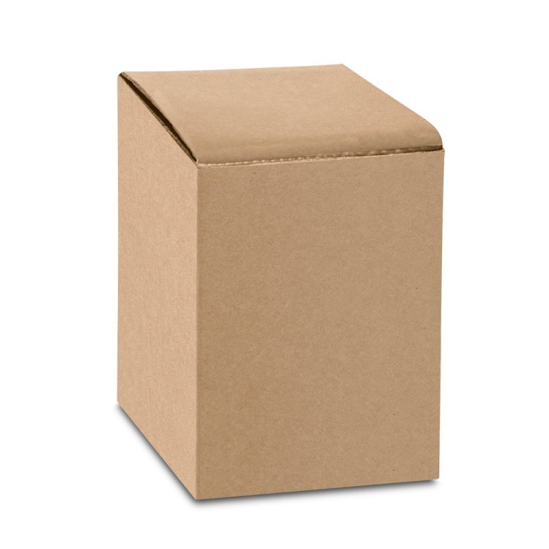 Plain brown cardboard box.
