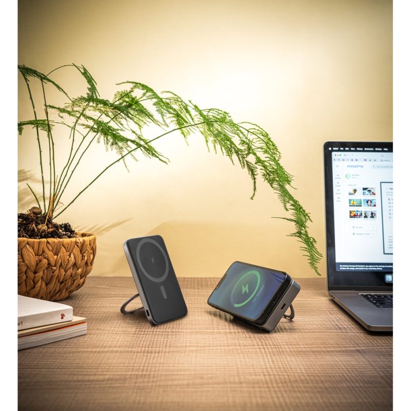 Wireless chargers, laptop, and plant on desk.