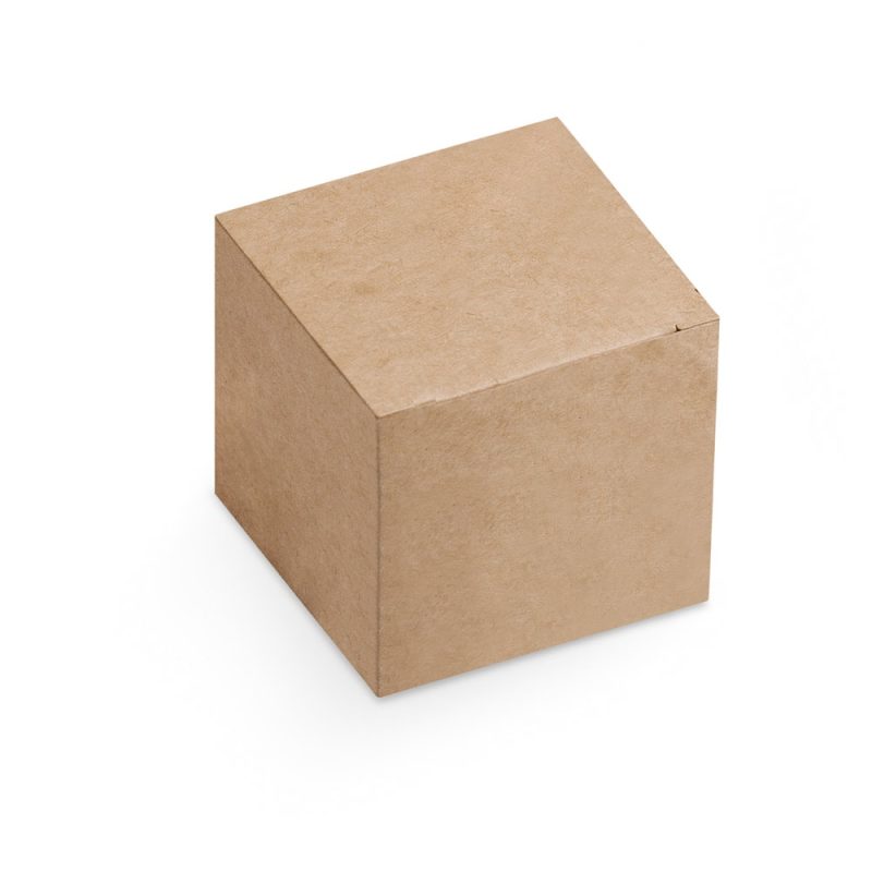 Plain brown cardboard box isolated on white background.