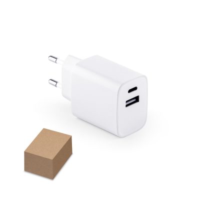 Dual-port USB charger with package box
