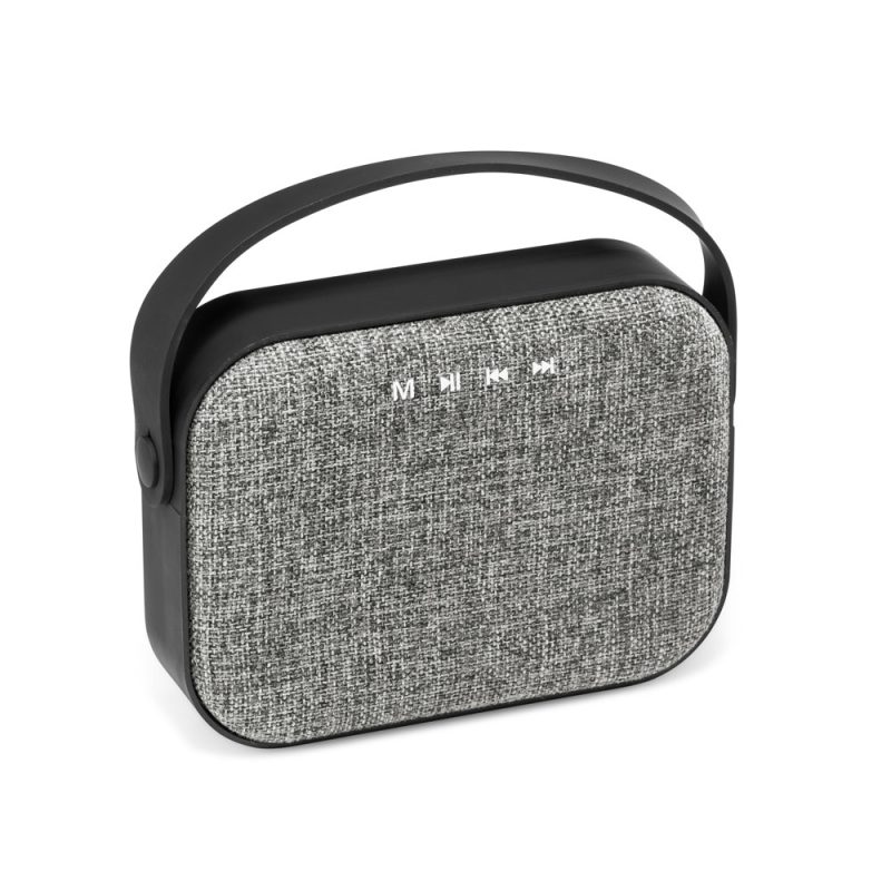Grey portable speaker with handle and control buttons.