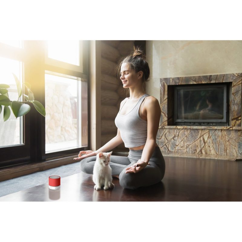 Woman meditating with kitten indoors by window.