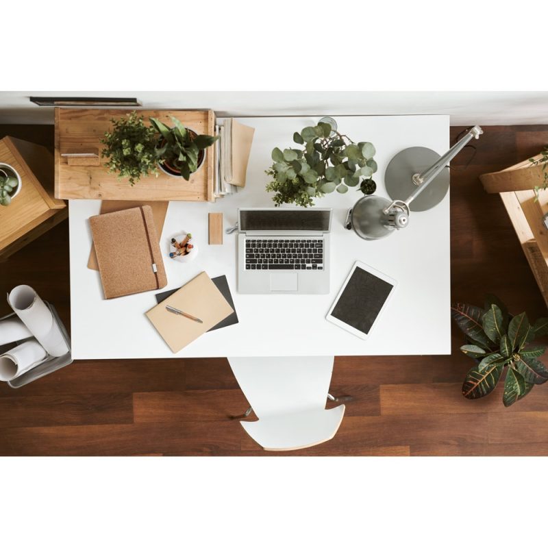 Organised home office desk with plants and laptop.