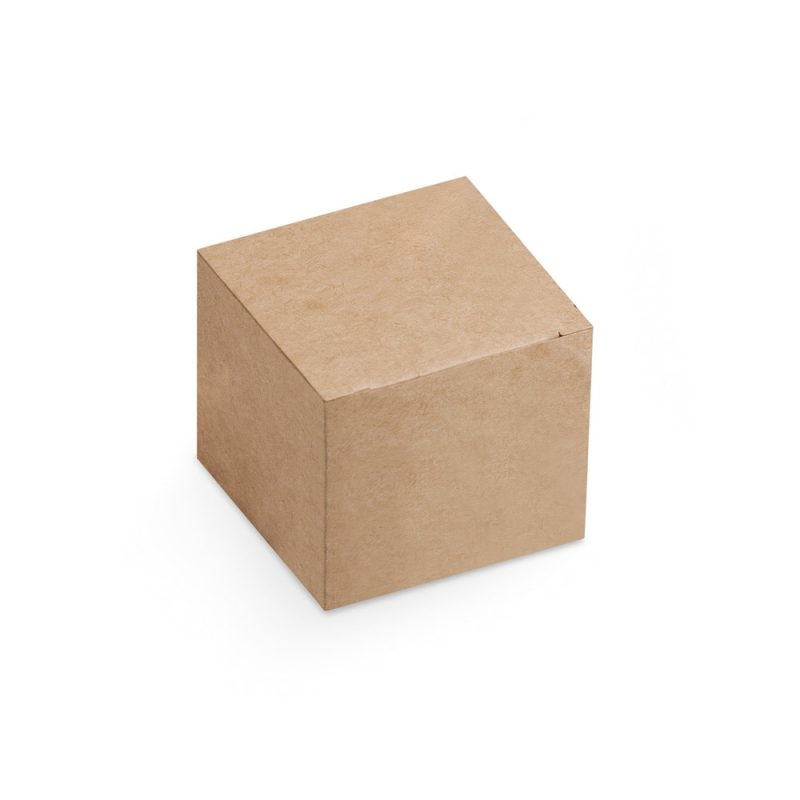 Brown cardboard box isolated on white background.